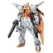 1/100 �K���_���L�����I�X ~�K���_��00(�_�u���I�[)�V���[�Y~
