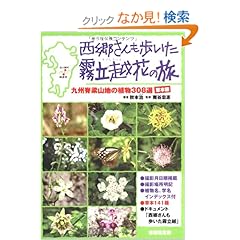 【クリックでお店のこの商品のページへ】西郷さんも歩いた霧立越花の旅 草本編―九州脊梁山地の植物308選: 秋本 治, 南谷 忠志: 本