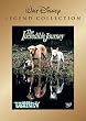 �O�C�r����s�� [DVD]