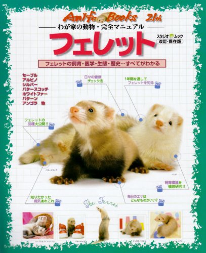  フェレット―フェレットの飼育・医学・エサ・生態・歴史…すべてがわかる (スタジオ・ムック―Anifa books-わが家の動物・完全マニュアル-)