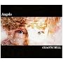 CHAOTIC BELL(��������)(DVD�t)
