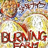 BURNING FARM