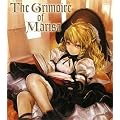 The Grimoire of Marisa(�O�������[�� �I�u �}���T) (DNA���f�B�A�u�b�N�X)