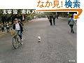 ���ꃁ���X (�p�앶��)