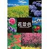 �Ԍi�F~�l�G���ʂ� ���{�̖����i~ [DVD]