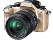 Panasonic �f�W�^�����J���� LUMIX GH1 �����Y�L�b�g�R���t�H�[�g�S�[���h DMC-GH1K-N