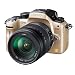 Panasonic �f�W�^�����J���� LUMIX GH1 �����Y�L�b�g�R���t�H�[�g�S�[���h DMC-GH1K-N
