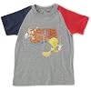 LOONEY TUNES �M�^�[��t�ł�o�b�N�X�o�j�[��TWEETY��T�V���c 80���� �O���[ 331744