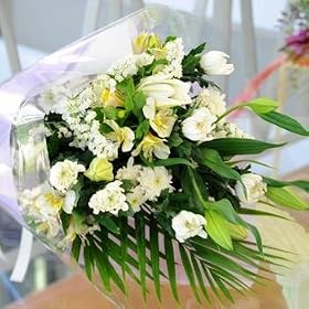 �y���������z�������ԑ��f�U�C�i�[�Y�`���C�X[�����F������]���V���ʎ��@���@�v���~���ފ݂Ȃǂɂ��͂����܂��ԍH�[�ԑ���G�[�f�����C�X �t�����[�M�t�g