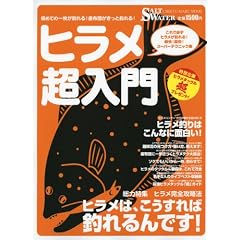 �q����������\����!����!�X�[�p�[�e�N�j�b�N�W �q�����͂�������Βނ���ł�! (CHIKYU-MARU MOOK SALT WATER)
