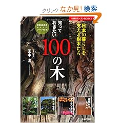 �m���Ă�������100�̖؁\���{�̕�炵���x������؂��� (�V���t�m�g���x�X�g�u�b�N�X)