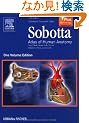 Sobotta - Atlas of Human Anatomy Single Volume Edition: Head, Neck, Upper Limb, Thorax, Abdomen, Pelvis, Lower Limb, 14e