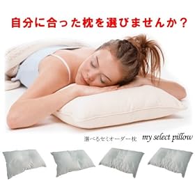 4��ނ̑f�ނ��I�ׂ閍�@�z�ŃT�|�[�g�܂���@�n�[�h�p�C�v�E�\�t�g�p�C�v�E���Ίk (�\�t�g�p�C�v)