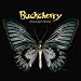 Black Butterfly