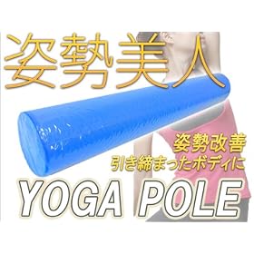 �G�N�[�T�C�Y�@���K�|�[�� �u���[ �p�����P�@�_�C�G�b�g�@�X�g���b�`����