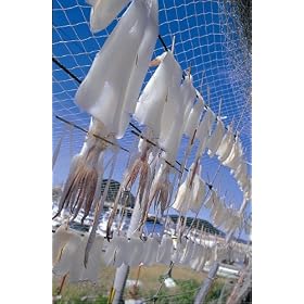 �Δn�����̕������i�A�E�g���b�g�j2kg�Z�b�g