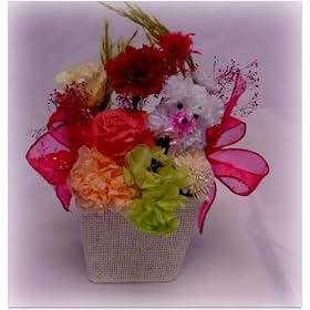 �v���U�[�u�h�t�����[�@�@�����v�[�h���̃J�S�̃A�����W