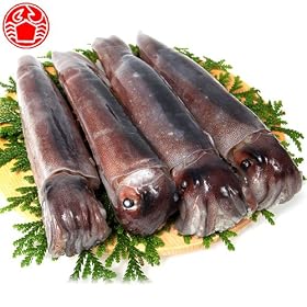 �k�C�� ���َY �X�����C�J 2.0��g