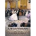 �R�L [DVD]