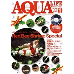 AQUA LIFE (�A�N�A���C�t) 2009�N 01���� [�G��]