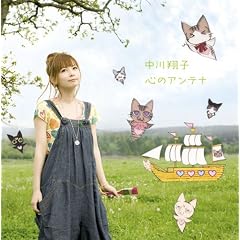 �S�̃A���e�i(DVD�t)