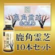 ���p��� GOLD �h�����N 50ml�~10�{ ���O���J��