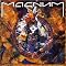 MAGNUM/HARD RAIN ��i�W�B