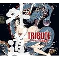 �O�� TRIBUTE~�Q�Q�Q�̊O���]��~