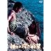 NIKKATSU COLLECTION �_�X�̐[���~�] [DVD]