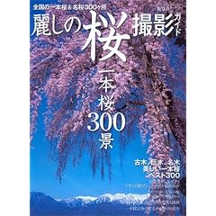 �킵�̍��B�e�K�C�h��{��300�i (NEWS mook ���ʐ^�B�e�K�C�h�V���[�Y)