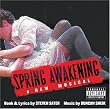 Spring Awakening: A New Musical