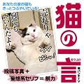 �L�̈ꌾ