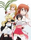 セキレイ 五 【完全生産限定版】