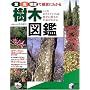 ���ؐ}�Ӂ\�t�E���E����Ŋm���ɂ킩�� (���pBEST BOOKS)