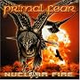 Nuclear Fire