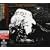 SYMPHONIES OF SICKNESS(DVD�t)