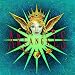 Doyle Bramhall II�̊���