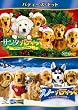 �o�f�B�[�Y�E�Z�b�g [DVD]