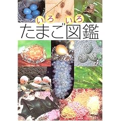 ���낢�낽�܂��}��