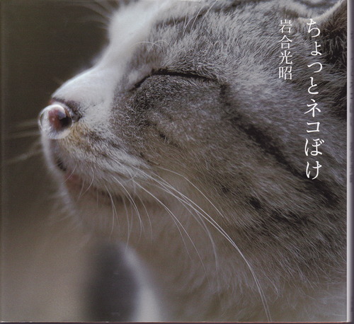 ちょっとネコぼけ