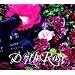 7th Rose(�t�H�g�u�b�N�t)�y���񐶎Y�����B�z