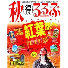 �H������2010�֓����� (�i�s�a�̃��b�N)