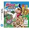 Nintendo DS�@�M���x