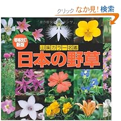 �J���[���� ��������V�� ���{�̖쑐 (�R��J���[����)