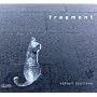 fragment