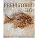 Prehistoric Life