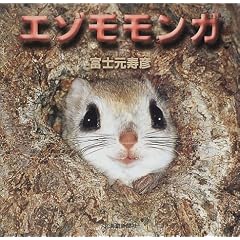 エゾモモンガ