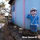 Glove Senses III