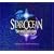 [PSP��]STAR OCEAN Second Evolution �I���W�i���E�T�E���h�g���b�N(DVD�t)