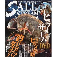 SALT & STREAM (�\���g�A���h�X�g���[��) 2009�N 06���� [�G��]